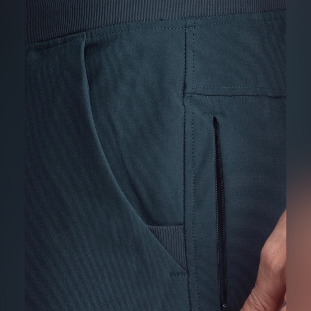 NEW Birddogs Gabe Ruths Jogger Pants - Picture 6 of 15